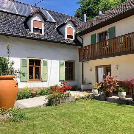 Auberge De France Kruth Екстериор снимка